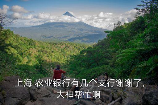 上海農(nóng)業(yè)銀行分行地址電話(huà)是多少,農(nóng)業(yè)銀行上海分行待遇怎么樣