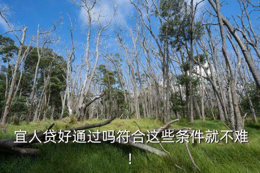  宜人貸好通過(guò)嗎符合這些條件就不難!
