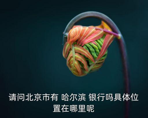 請問北京市有 哈爾濱 銀行嗎具體位置在哪里呢