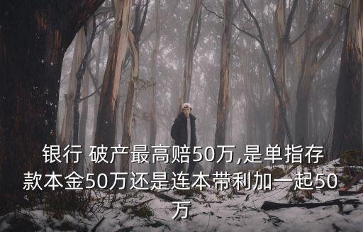 銀行破產(chǎn)最多賠多少,企業(yè)破產(chǎn)還不起貸款會坐牢嗎