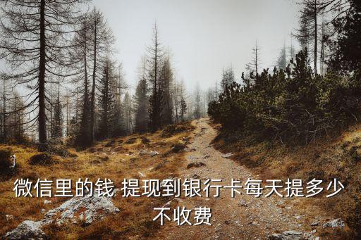微信里的錢 提現(xiàn)到銀行卡每天提多少 不收費