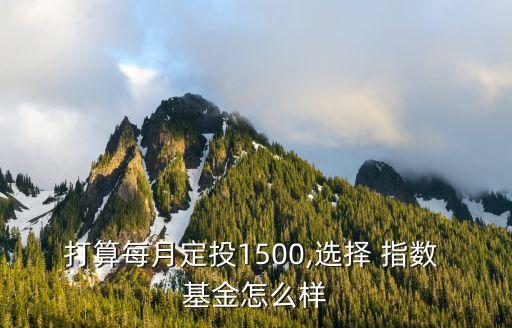 指數(shù)基金定投多少錢(qián),新手如何購(gòu)買(mǎi)指數(shù)基金定投