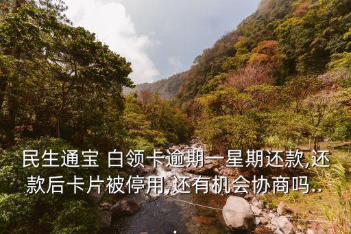 白領(lǐng)卡的利息是多少,青海白領(lǐng)卡利息如何計(jì)算