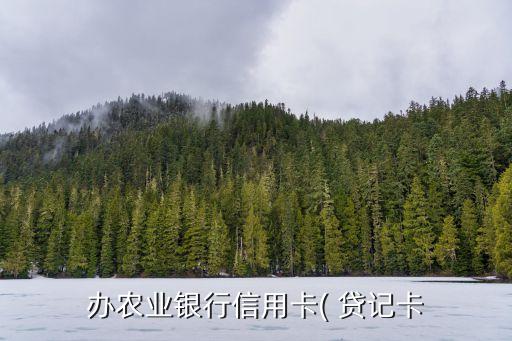 辦農(nóng)業(yè)銀行信用卡( 貸記卡