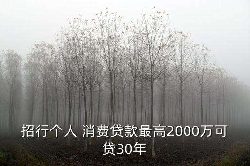 招行個人 消費(fèi)貸款最高2000萬可貸30年