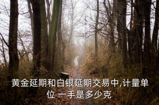 一手黃金是多少克,黃金9999一手多少克