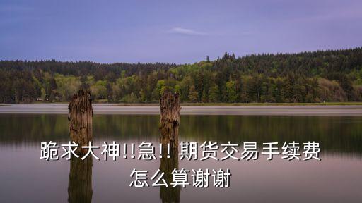 一手橡膠期貨多少錢,橡膠期貨一手保證金