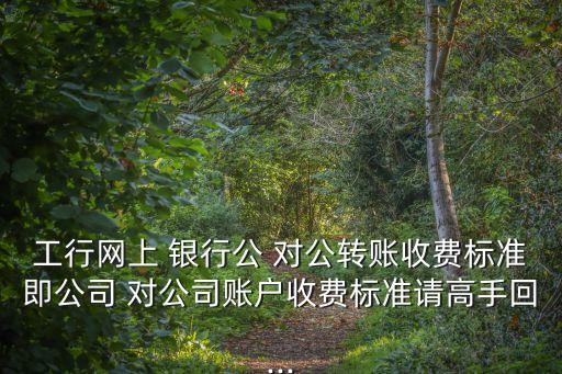 工行網(wǎng)上 銀行公 對公轉(zhuǎn)賬收費(fèi)標(biāo)準(zhǔn)即公司 對公司賬戶收費(fèi)標(biāo)準(zhǔn)請高手回...