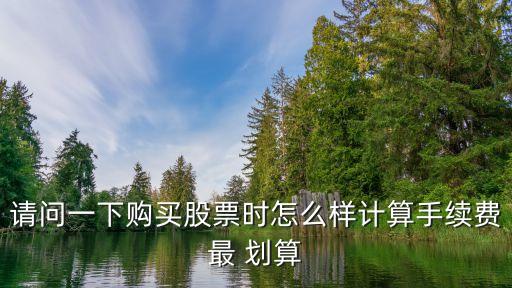 請(qǐng)問(wèn)一下購(gòu)買(mǎi)股票時(shí)怎么樣計(jì)算手續(xù)費(fèi)最 劃算