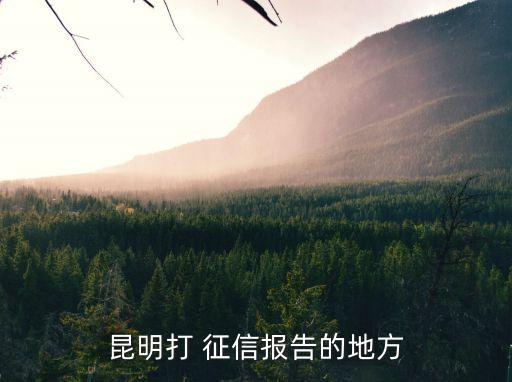 昆明打 征信報告的地方