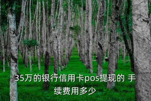 35萬的銀行信用卡pos提現(xiàn)的 手續(xù)費(fèi)用多少