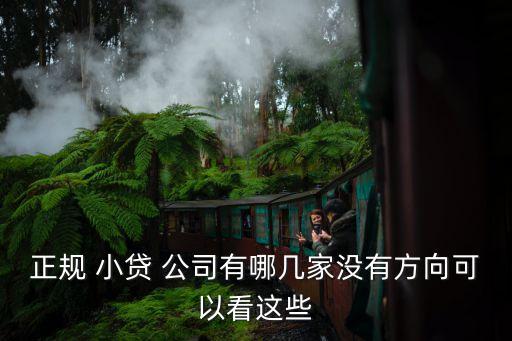 南京小貸公司 多少家,南京住房公積金貸款可以貸多少