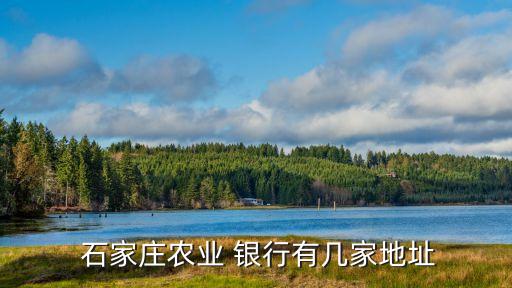 石家莊多少銀行,廊坊銀行在石家莊有多少支行