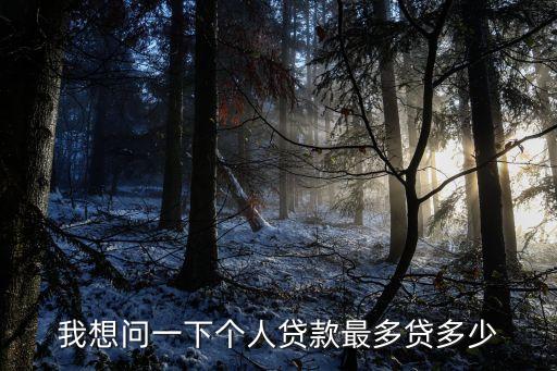 我想問一下個人貸款最多貸多少