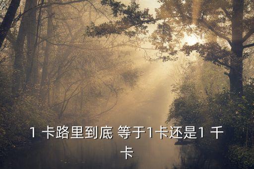 一千卡等于多少卡路里,1千卡是1大卡嗎