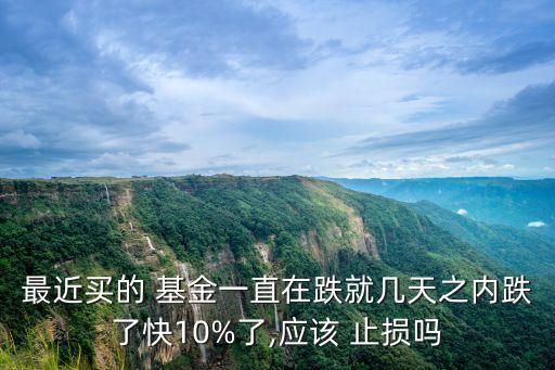 最近買(mǎi)的 基金一直在跌就幾天之內(nèi)跌了快10%了,應(yīng)該 止損嗎