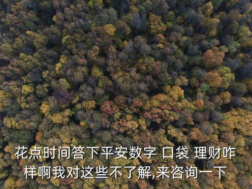 花點(diǎn)時間答下平安數(shù)字 口袋 理財(cái)咋樣啊我對這些不了解,來咨詢一下