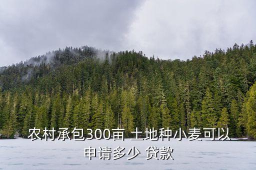農(nóng)村土地貸款能貸多少,建設(shè)銀行農(nóng)村土地貸款要什么條件
