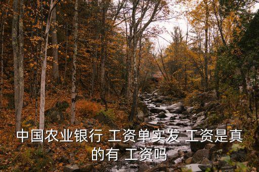 農(nóng)行網(wǎng)上發(fā)工資多少錢,農(nóng)行副行長工資一般有多少