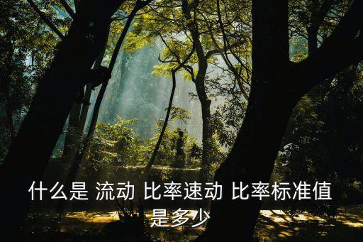 什么是 流動(dòng) 比率速動(dòng) 比率標(biāo)準(zhǔn)值是多少