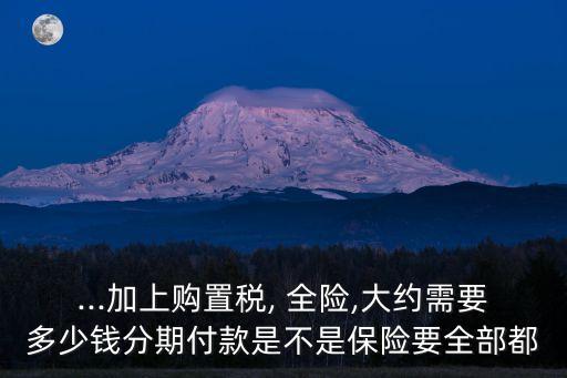 ...加上購置稅, 全險,大約需要多少錢分期付款是不是保險要全部都