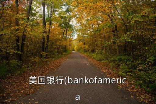 美國(guó)取款機(jī)手續(xù)費(fèi)多少錢,自動(dòng)取款機(jī)取錢要手續(xù)費(fèi)嗎