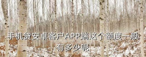 網(wǎng)上app能貸多少錢,及貸app客服電話是多少