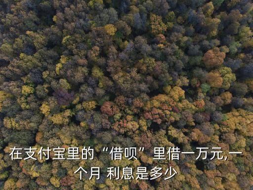 12000借唄一年利息多少錢,借12000一年利息2488合法嗎?