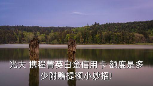 光大 攜程菁英白金信用卡 額度是多少附贈(zèng)提額小妙招!