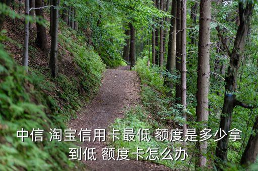 淘寶會(huì)員聯(lián)名卡額度多少錢,淘寶88會(huì)員聯(lián)名卡在哪里