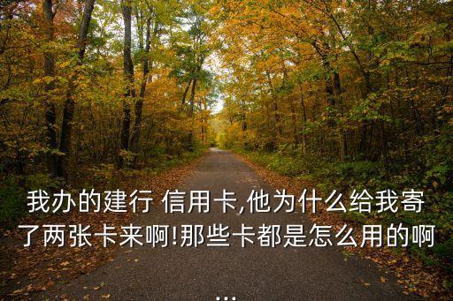 龍卡家庭摯愛信用卡一般額度多少,建設(shè)銀行龍卡家庭摯愛信用卡年費