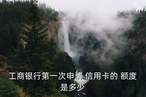 工商銀行第一次申請(qǐng) 信用卡的 額度是多少