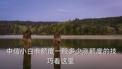中信境外報備提額多少錢