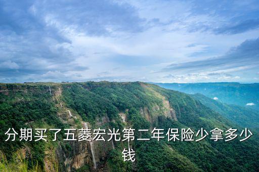 分期買了五菱宏光第二年保險少拿多少錢