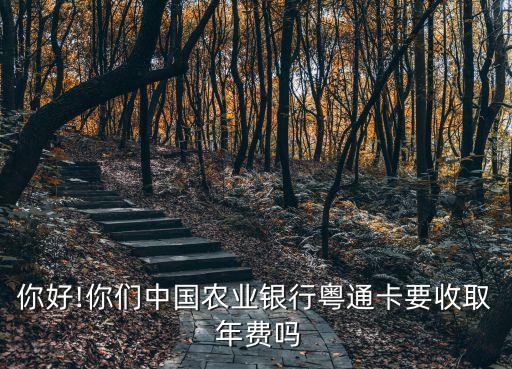 你好!你們中國農(nóng)業(yè)銀行粵通卡要收取 年費嗎