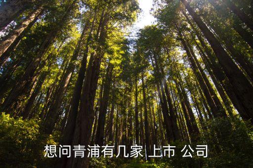想問青浦有幾家 上市 公司