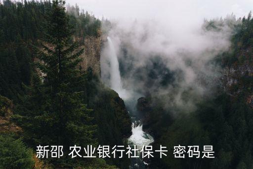 農(nóng)業(yè)銀行卡初始密碼是多少,學(xué)校發(fā)的農(nóng)業(yè)銀行卡初始密碼