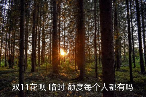 花唄領(lǐng)取了臨時額度是多少,花唄臨時額度怎么申請