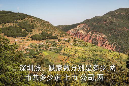 上海多少家上市公司,上海有多少家上市公司2021