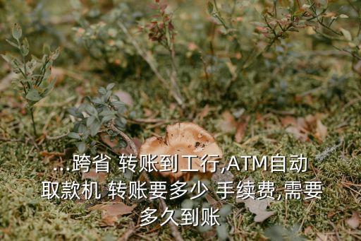 取款機(jī)行內(nèi)轉(zhuǎn)賬手續(xù)費(fèi)多少,自助取款機(jī)跨行轉(zhuǎn)賬有沒有手續(xù)費(fèi)