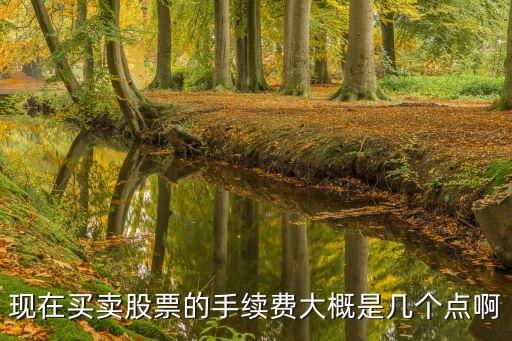現(xiàn)在買賣股票的手續(xù)費大概是幾個點啊