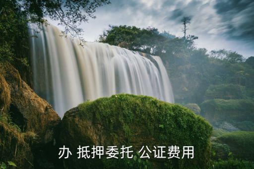 辦 抵押委托 公證費(fèi)用