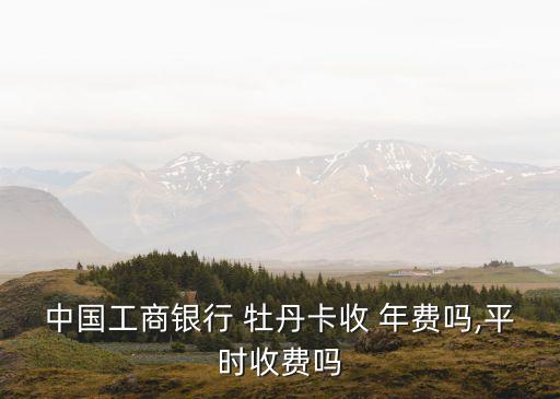 牡丹貸記卡年費(fèi)是多少,中國工商銀行牡丹貸記卡年費(fèi)標(biāo)準(zhǔn)