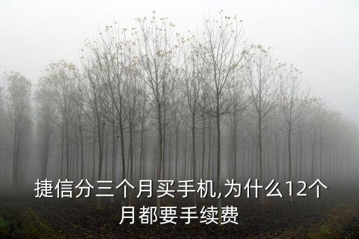 捷信服務(wù)費(fèi)是多少,捷信收取高額服務(wù)費(fèi)合理?