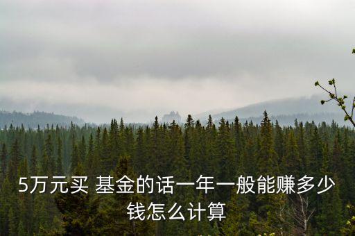 5萬元買 基金的話一年一般能賺多少錢怎么計(jì)算