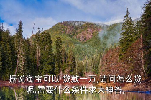 據(jù)說淘寶可以 貸款一萬(wàn),請(qǐng)問怎么貸呢,需要什么條件求大神答,