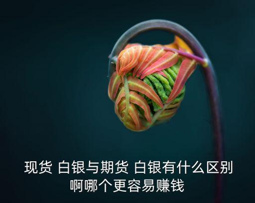  現(xiàn)貨 白銀與期貨 白銀有什么區(qū)別啊哪個更容易賺錢