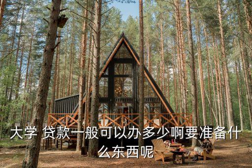 大學 貸款一般可以辦多少啊要準備什么東西呢