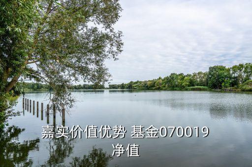 嘉實新能源新材料基金多少錢凈值