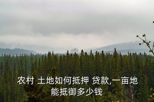  農(nóng)村 土地如何抵押 貸款,一畝地能抵御多少錢